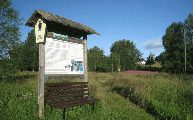 Hammerbrücke-Sommer