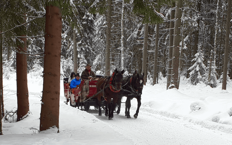 Hammerbrücke Kutschenfahrt
