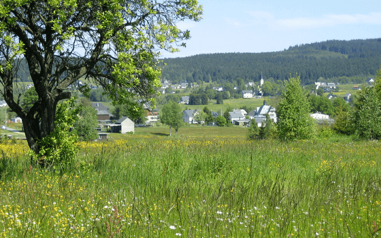 Hammerbrücke-Sommer